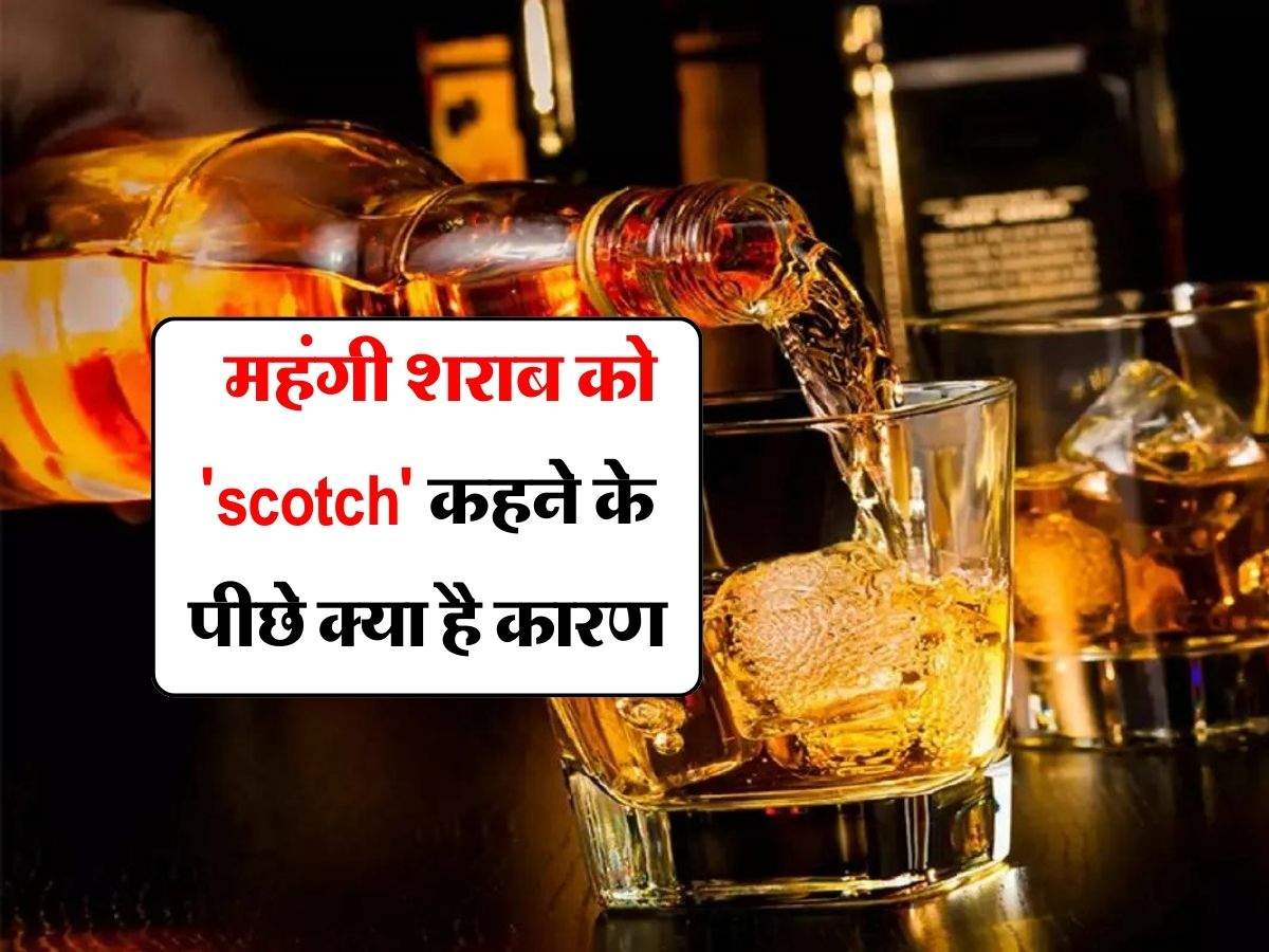 Alcohol : महंगी शराब को 'scotch' कहने के पीछे क्या है कारण, जानिये कैसे पड़ा ये नाम