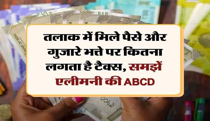 Income Tax : तलाक में मिले पैसे और गुजारे भत्ते पर कितना लगता है टैक्स, समझें  एलीमनी की ABCD