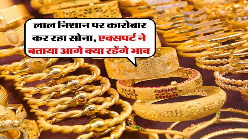 Gold Silver Price : लाल निशान पर कारोबार कर रहा सोना, एक्सपर्ट ने बताया आगे क्या रहेंगे भाव