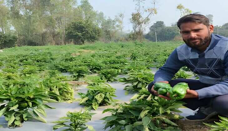 Success Story : नौकरी नहीं मिली तो शुरू की खेती, यह तकनीक अपना कर कमा रहे सैलरी से ज्यादा