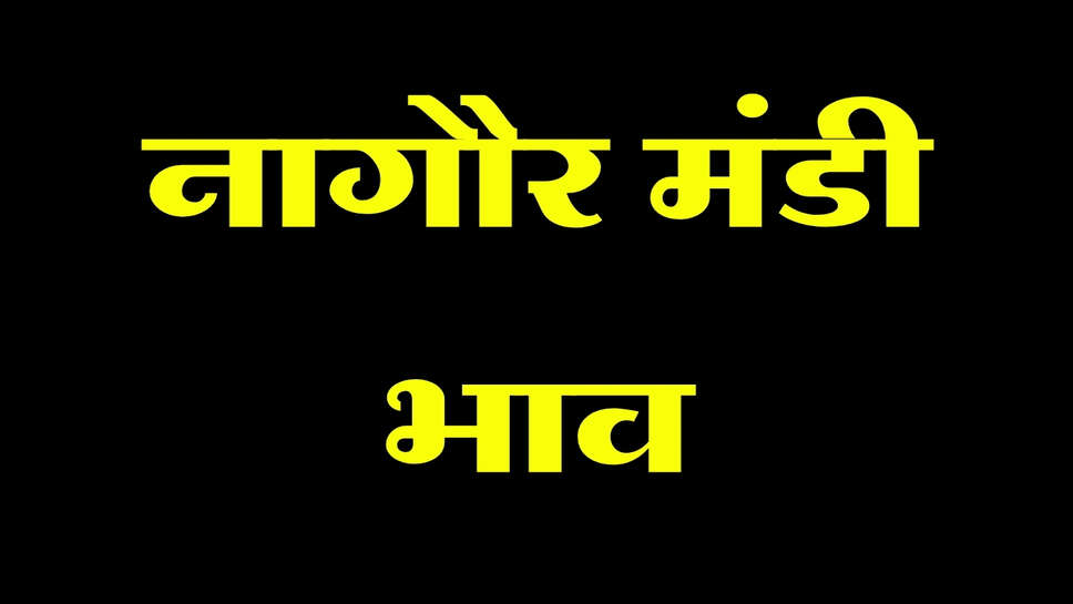 नागौर मंडी भाव 27 सितंबर 2026: सौंफ और तारामीरा में तेजी, इसबगोल में मंदी