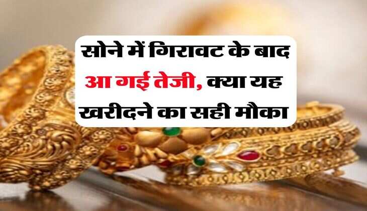 Gold Price : सोने में गिरावट के बाद आ गई तेजी, क्या यह खरीदने का सही मौका