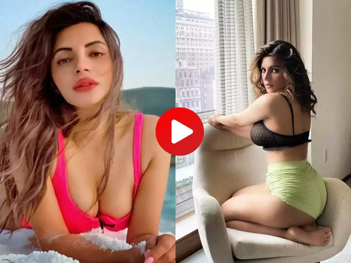 Shama Sikander ने टाइट ब्लाउज पहन करवाया फोटोशूट, देख फैंस हुए दीवाने 