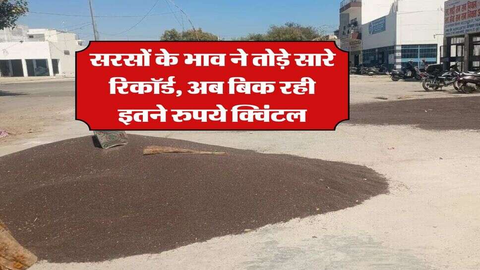 Sarso Rate hike : सरसों के भाव ने तोड़े सारे रिकॉर्ड, अब बिक रही इतने रुपये क्विंटल