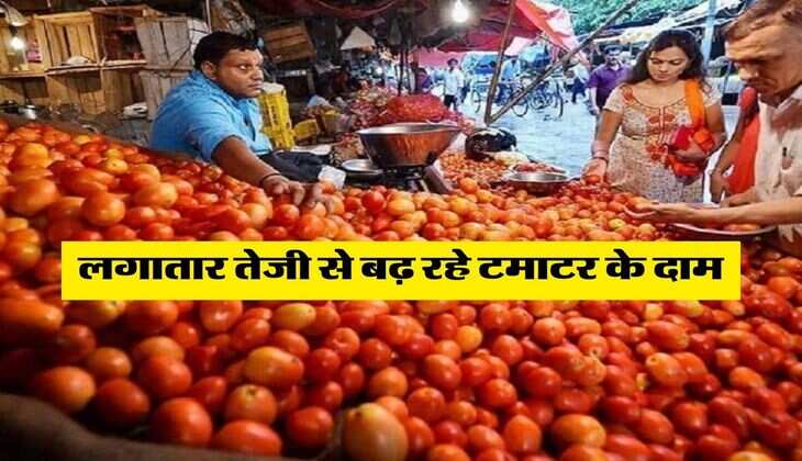 Tomato Rate : लगातार तेजी से बढ़ रहे टमाटर के दाम, आलू-प्याज ने भी निकाले 'आंसू'