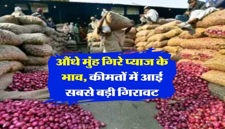 onion price : औंधे मुंह गिरे प्याज के भाव, कीमतों में आई सबसे बड़ी गिरावट
