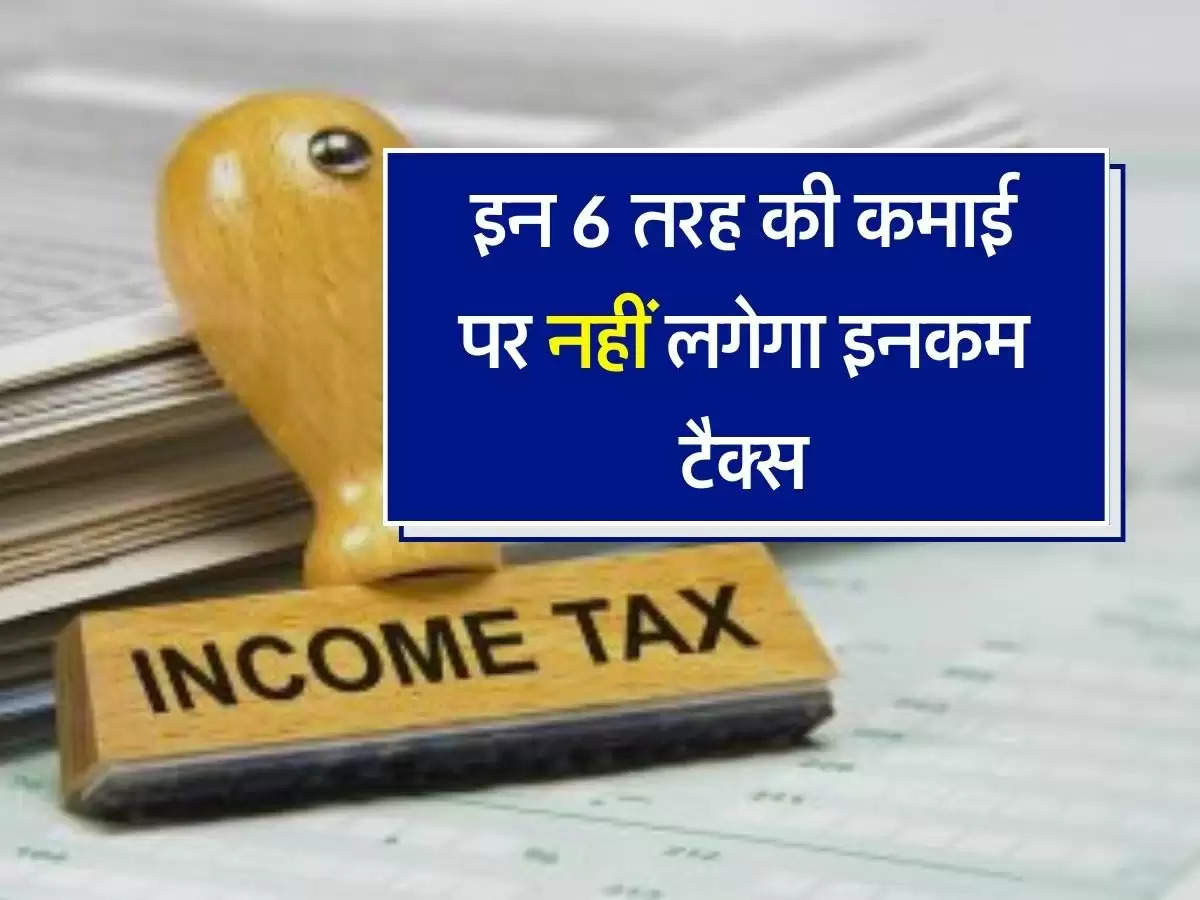 Income Tax Free Income : इन 6 तरह की कमाई पर नहीं लगेगा इनकम टैक्स, चेक कर लें लिस्ट