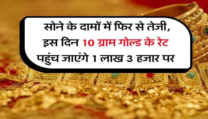 Gold Rate Hike : सोने के दामों में फिर से तेजी, इस दिन 10 ग्राम गोल्ड के रेट पहुंच जाएंगे 1 लाख 3 हजार पर
