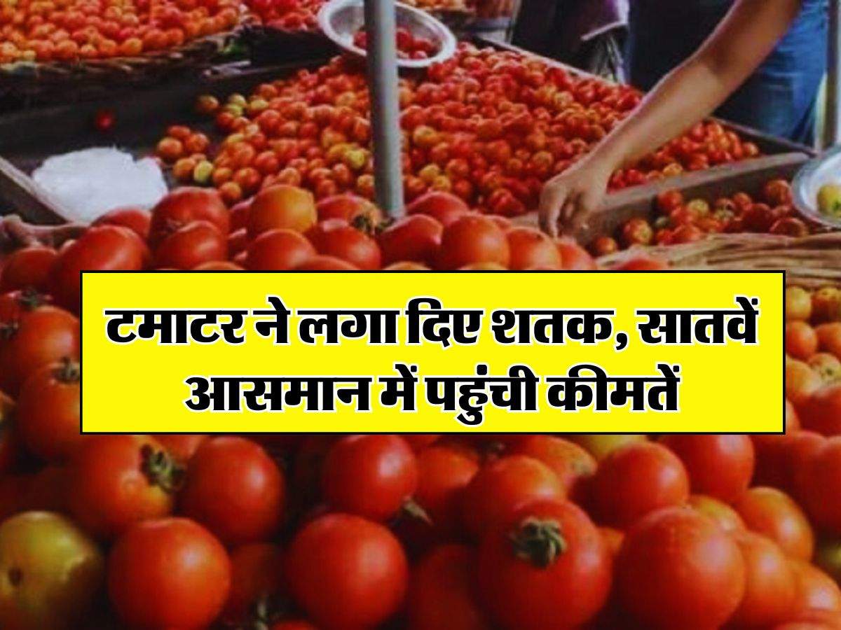 Tamatar ka bhav : टमाटर ने लगा दिए शतक, सातवें आसमान में पहुंची कीमतें, अब मिल रहा इतने रुपये किलो