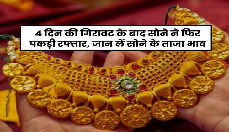 Gold Rate : 4 दिन की गिरावट के बाद सोने ने फिर पकड़ी रफ्तार, जान लें सोने के ताजा भाव