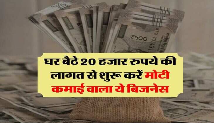 Bussiness ideas : घर बैठे 20 हजार रुपये की लागत से शुरू करें मोटी कमाई वाला ये बिजनेस&nbsp;