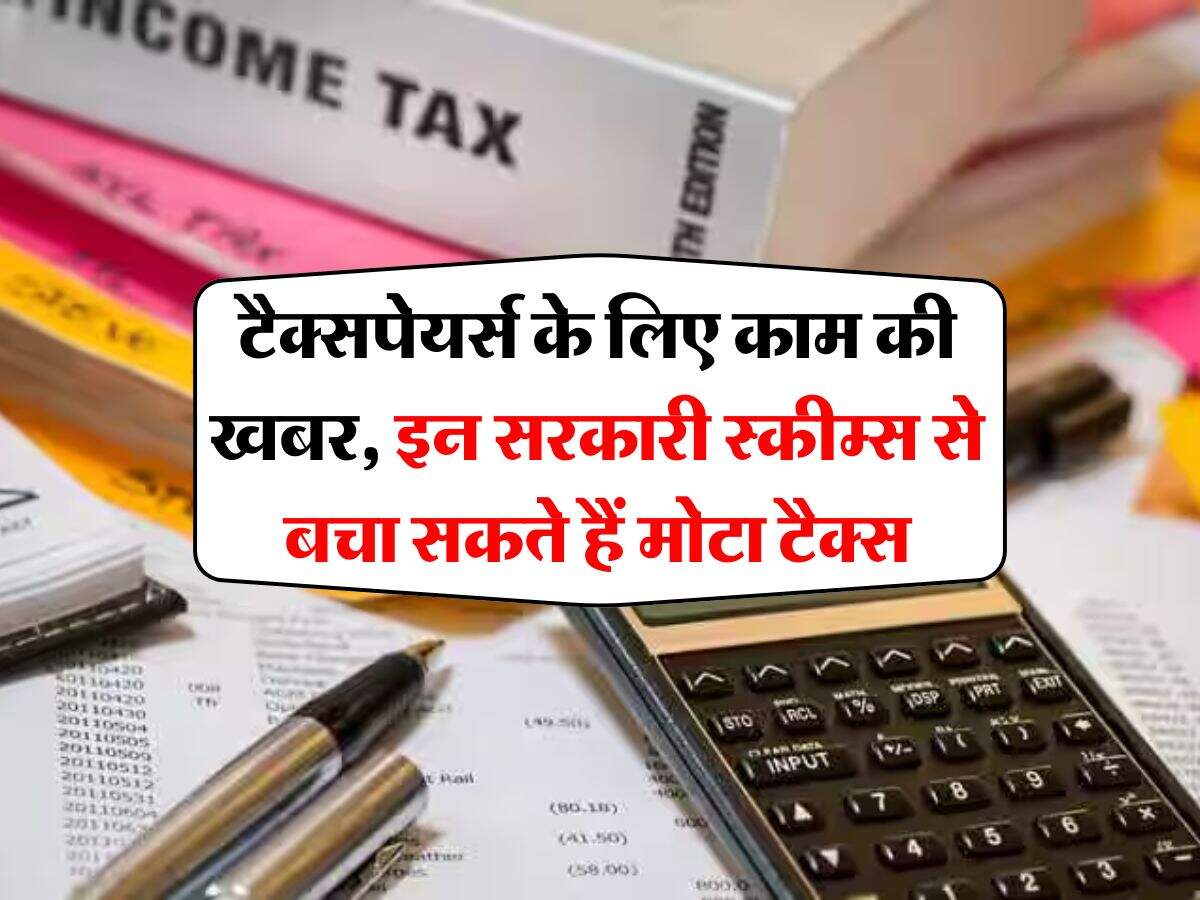 Income Tax : टैक्सपेयर्स के लिए काम की खबर, इन सरकारी स्कीम्स से बचा सकते हैं मोटा टैक्स