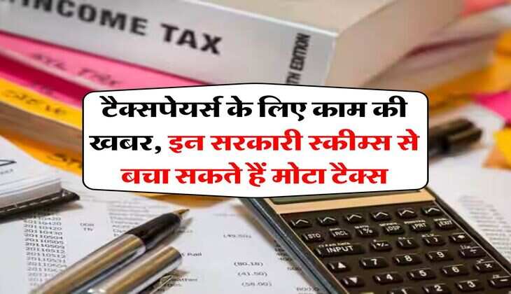 Income Tax : टैक्सपेयर्स के लिए काम की खबर, इन सरकारी स्कीम्स से बचा सकते हैं मोटा टैक्स