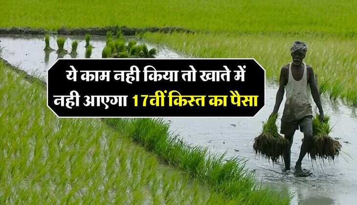 PM Kisan 17th Installment : ये काम नही किया तो खाते में नही आएगा 17वीं किस्त का पैसा