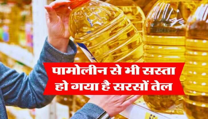 Edible Oil Prices : पामोलीन से भी सस्ता हो गया है सरसों तेल, जानिए मूंगफली और सोयाबीन तेल के लेटेस्ट दाम