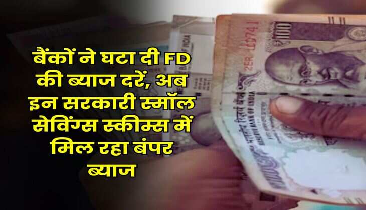 बैंकों ने घटा दी FD की ब्याज दरें, अब इन सरकारी स्मॉल सेविंग्स स्कीम्स में मिल रहा बंपर ब्याज