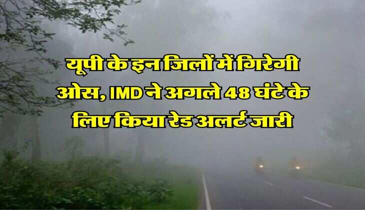 UP Cold Wave Alert&nbsp;: यूपी के इन जिलों में गिरेगी ओस, IMD ने अगले 48 घंटे के लिए किया रेड अलर्ट जारी