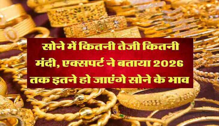 Gold Rate : सोने में कितनी तेजी कितनी मंदी, एक्सपर्ट ने बताया 2026 तक इतने हो जाएंगे सोने के भाव