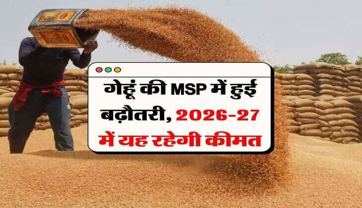 Gehu ki Kimat : गेहूं की MSP में हुई बढ़ौतरी, 2026-27 में यह रहेगी कीमत