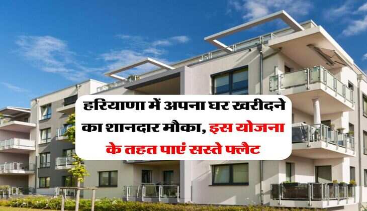 Housing Scheme : हरियाणा में&nbsp;अपना घर खरीदने का शानदार मौका, इस योजना के तहत पाएं सस्ते फ्लैट