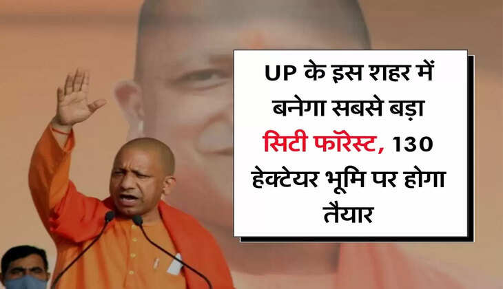 UP के इस शहर में बनेगा सबसे बड़ा सिटी फॉरेस्ट, 130 हेक्टेयर भूमि पर होगा तैयार