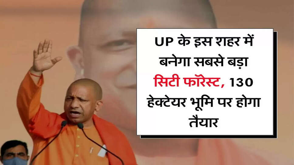 UP के इस शहर में बनेगा सबसे बड़ा सिटी फॉरेस्ट, 130 हेक्टेयर भूमि पर होगा तैयार