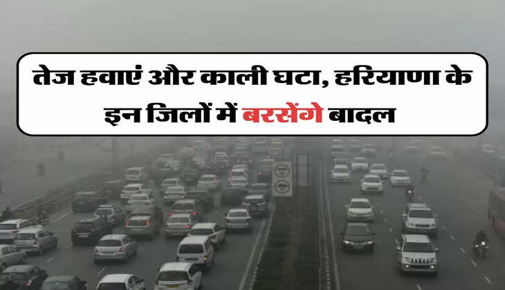 Haryana Weather - तेज हवाएं और काली घटा, हरियाणा के इन जिलों में बरसेंगे बादल&nbsp;