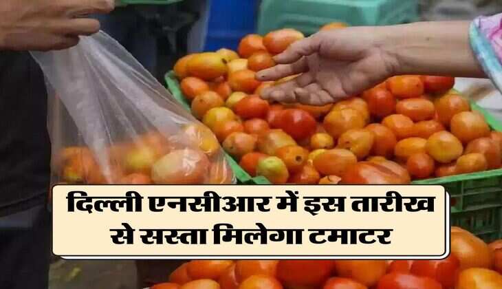 Tomato Price Today : दिल्ली एनसीआर में इस तारीख से सस्ता मिलेगा टमाटर