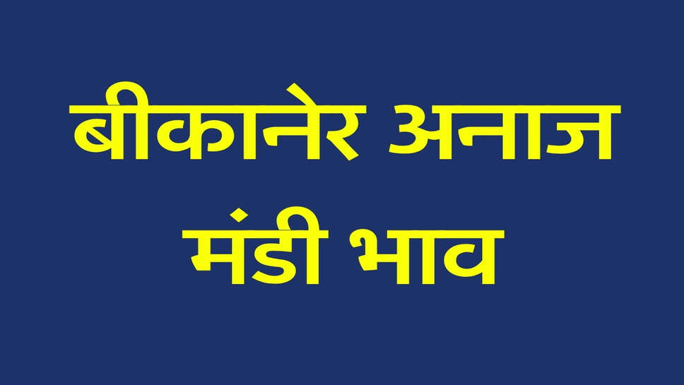 बीकानेर अनाज मंडी भाव: मूंगफली और मोठ में तेजी, ग्वार-जीरा के भाव हुए कमजोर