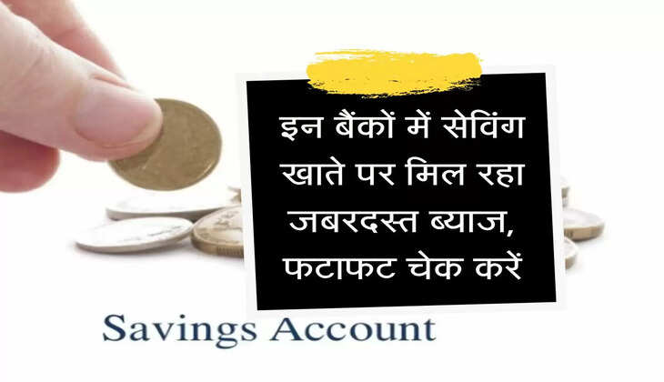 Small Finance bank : इन बैंकों में सेविंग खाते पर मिल रहा जबरदस्त ब्याज, फटाफट चेक करें