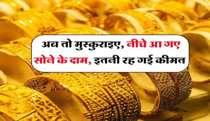 Property Rights : सास ससुर की प्रोपर्टी में दामाद का कितना हिस्सा, हाईकोर्ट का आया अहम आदेश