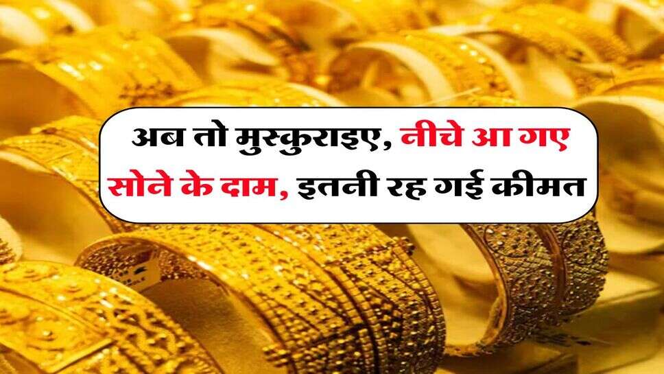 Property Rights : सास ससुर की प्रोपर्टी में दामाद का कितना हिस्सा, हाईकोर्ट का आया अहम आदेश