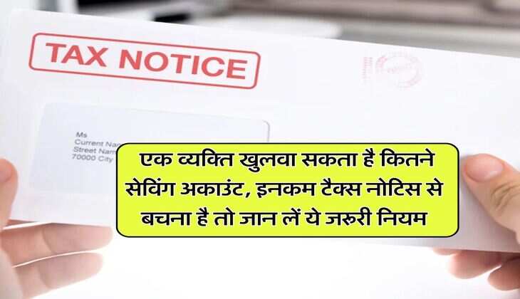 Income Tax : एक व्यक्ति खुलवा सकता है कितने सेविंग अकाउंट, इनकम टैक्स नोटिस से बचना है तो जान लें ये जरूरी नियम