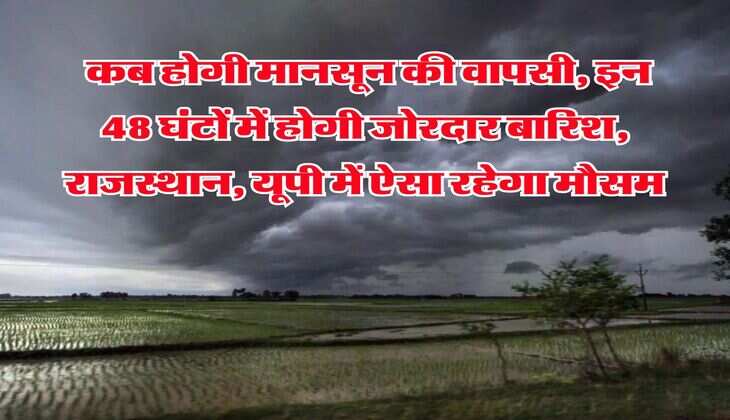 IMD Weather Alert : कब होगी मानसून की वापसी, इन 48 घंटों में होगी जोरदार बारिश, राजस्थान, यूपी में ऐसा रहेगा मौसम