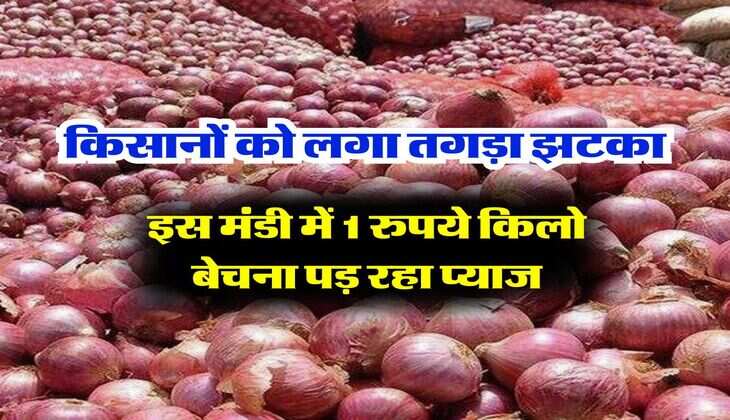 Onion Mandi Bhaav : किसानों को लगा तगड़ा झटका, इस मंडी में 1 रुपये किलो बेचना पड़ रहा प्याज