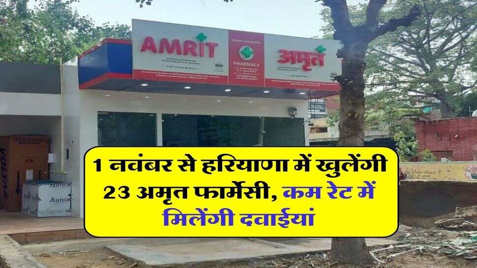 1 नवंबर से हरियाणा में खुलेंगी 23 अमृत फार्मेसी, कम रेट में मिलेंगी दवाईयां&nbsp;