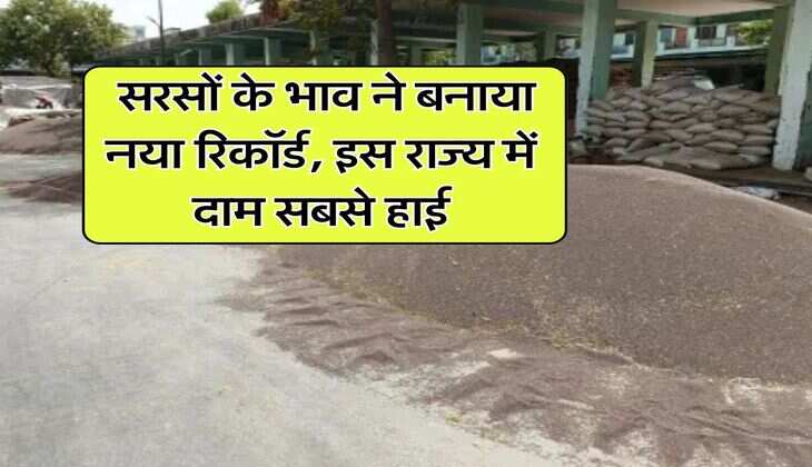sarso ka bhav : सरसों के भाव ने बनाया नया रिकॉर्ड, इस राज्य में दाम सबसे हाई