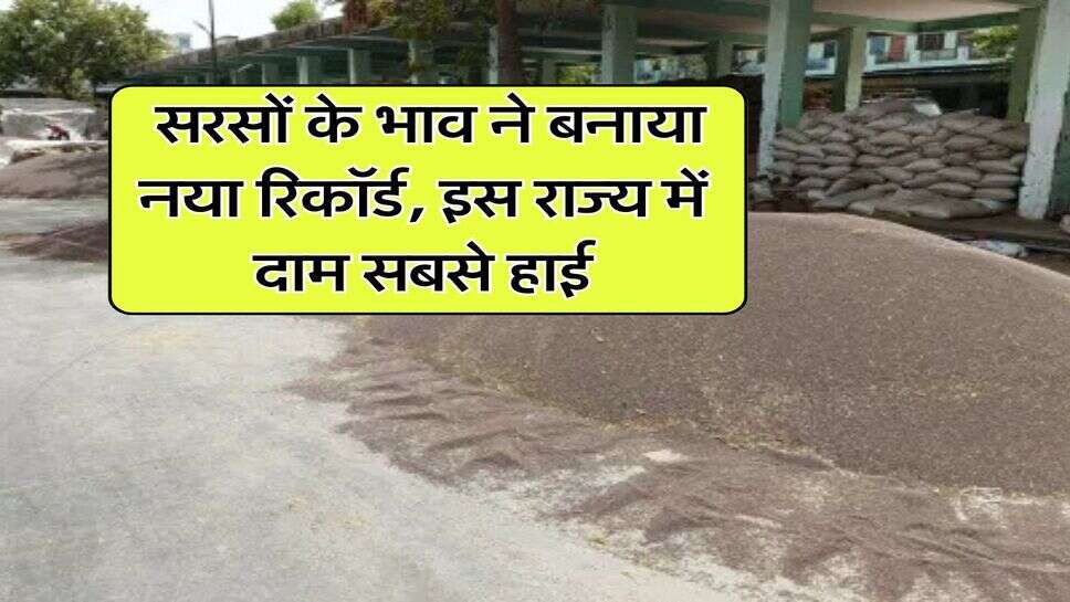 sarso ka bhav : सरसों के भाव ने बनाया नया रिकॉर्ड, इस राज्य में दाम सबसे हाई