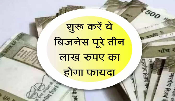 New Business Idea : शुरू करें ये बिजनेस पूरे तीन लाख रुपए का होगा फायदा