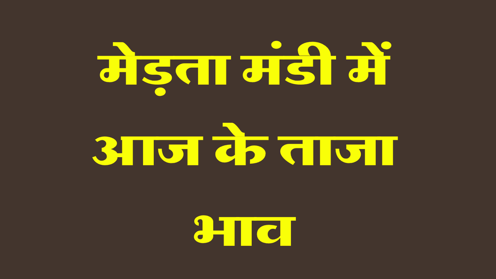 Merta Mandi Bhav 19 September 2026:&nbsp;मेड़ता मंडी में आज के ताजा भाव, मूंग 8500 और जीरा 22500 रुपये तक