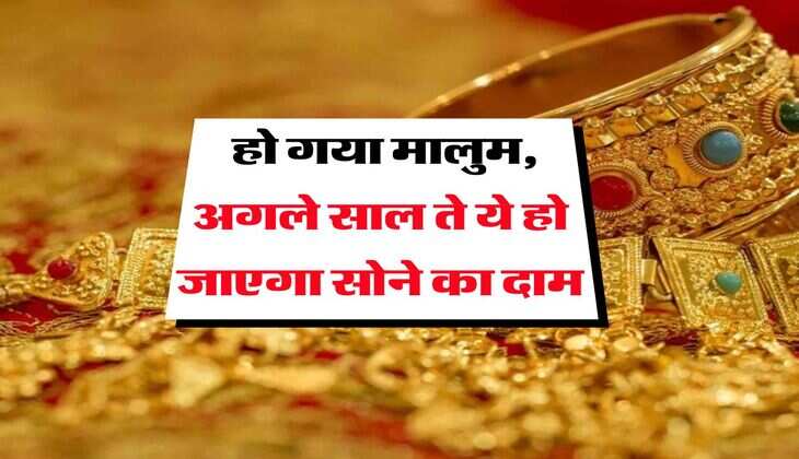 gold price : हो गया मालुम, अगले साल ते ये हो जाएगा सोने का दाम