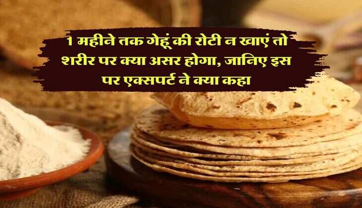 1 महीने तक गेहूं की रोटी न खाएं तो शरीर पर क्या असर होगा, जानिए इस पर एक्सपर्ट ने क्या कहा