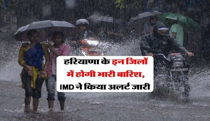 Haryana Weather : हरियाणा के इन जिलों में होगी भारी बारिश, IMD ने किया अलर्ट जारी&nbsp;