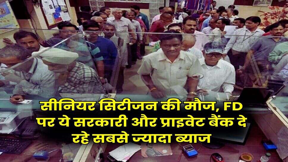 सीनियर सिटीजन की मौज, FD पर ये सरकारी और प्राइवेट बैंक दे रहे सबसे ज्यादा ब्याज
