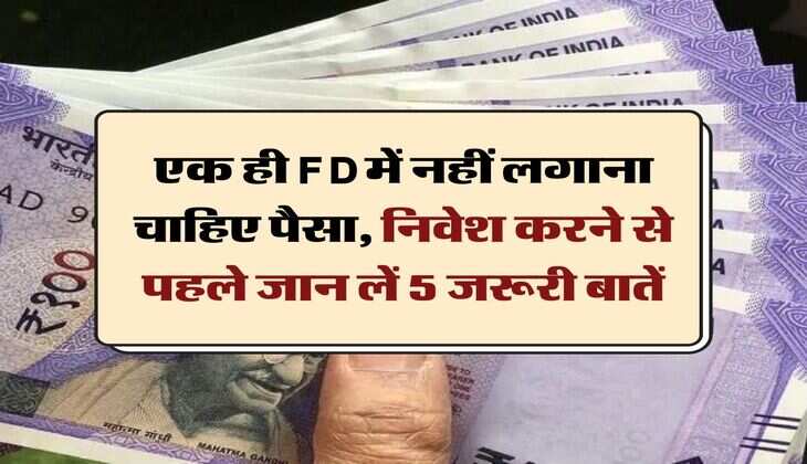 एक ही FD में नहीं लगाना चाहिए पैसा, निवेश करने से पहले जान लें 5 जरूरी बातें
