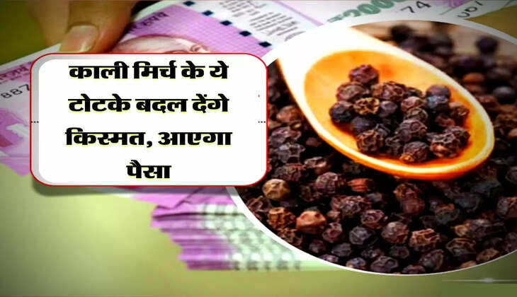 काली मिर्च के ये टोटके बदल देंगे किस्मत, आएगा पैसा