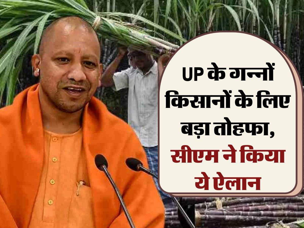 UP के गन्नों किसानों के लिए बड़ा तोहफा, सीएम ने किया ये ऐलान