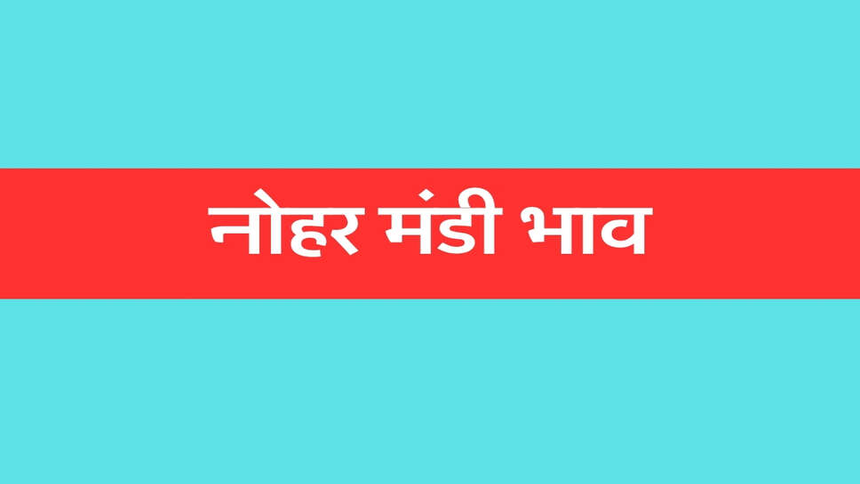 नोहर मंडी भाव 25 अक्टूबर 2026: सरसों, चना और मेथी तेज, ग्वार-अरंडी मंदे