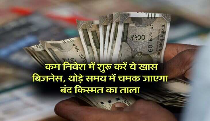 Business idea : कम निवेश में शुरू करें ये खास बिजनेस, थोड़े समय में चमक जाएगा बंद किस्मत का ताला