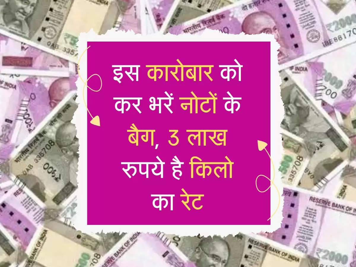 Saffron Kheti: इस कारोबार को कर भरें नोटों के बैग, 3 लाख रुपये है किलो का रेट